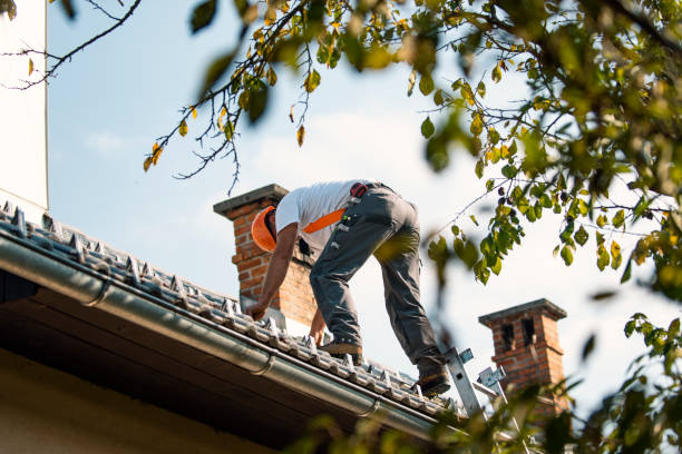 Fast & Reliable Emergency Roof Repairs in Dalton Gardens, ID